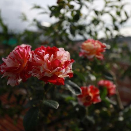 Homestay Doc Tinh Da Lat Eksteriør billede