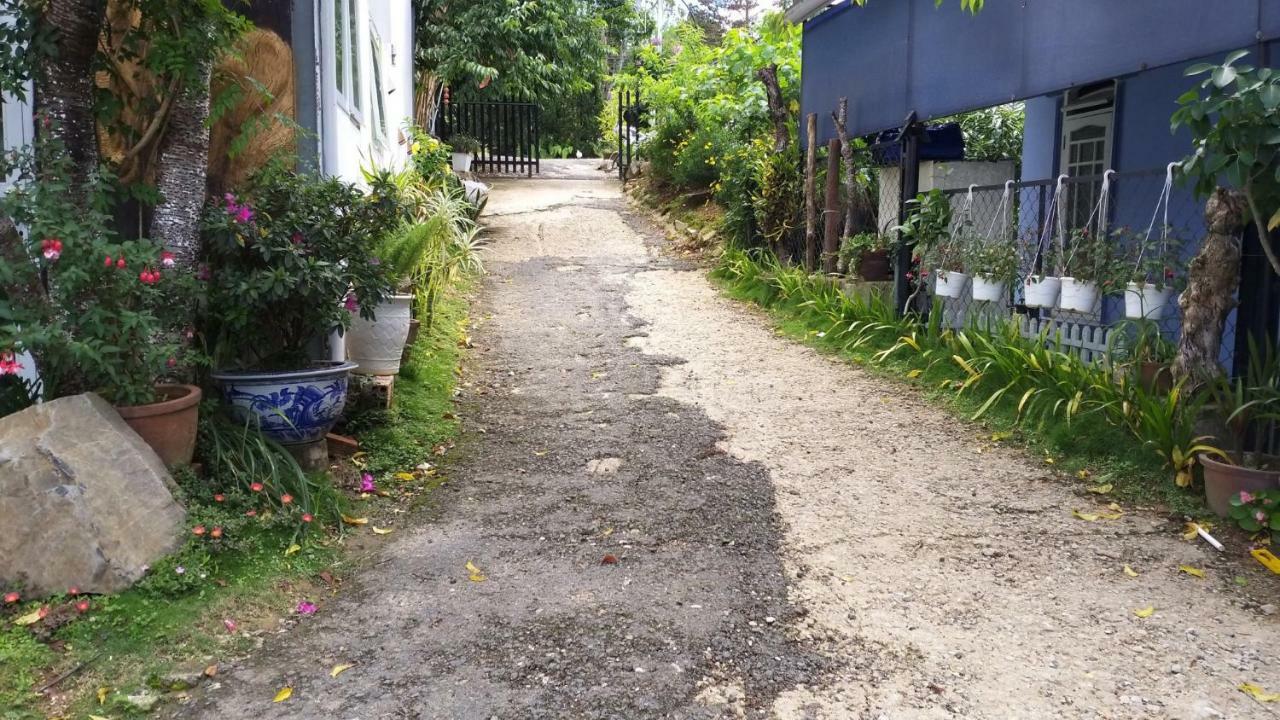 Homestay Doc Tinh Da Lat Eksteriør billede